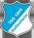 tsg__hoffenheim.jpg